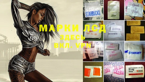 молекула духа Лабытнанги
