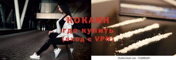 сатива Куйбышев