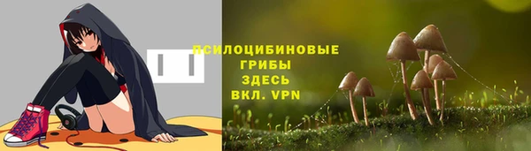 первитин Ладушкин
