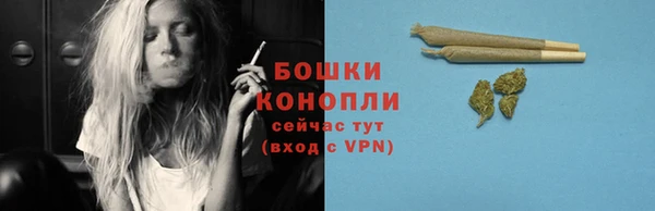 сатива Куйбышев