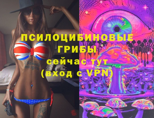 первитин Ладушкин
