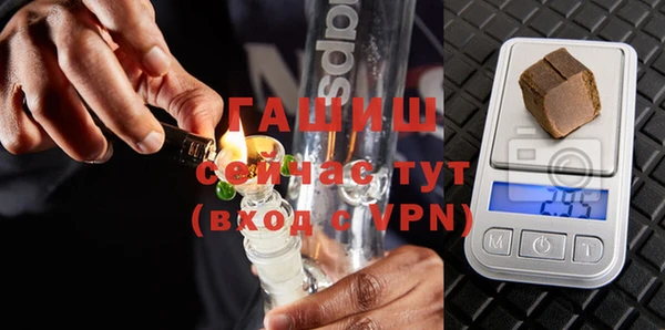 индика Данков